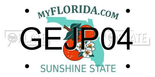 GEJP04 Florida License Plate