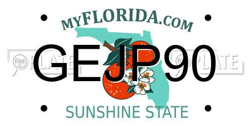 GEJP90 Florida License Plate