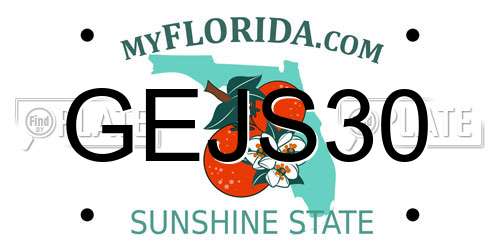 GEJS30 Florida License Plate