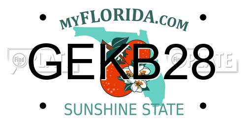 GEKB28 Florida License Plate