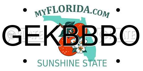 GEKBBBO Florida License Plate