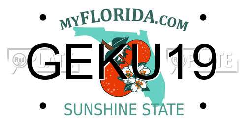 GEKU19 Florida License Plate