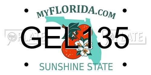 GEL135 Florida License Plate