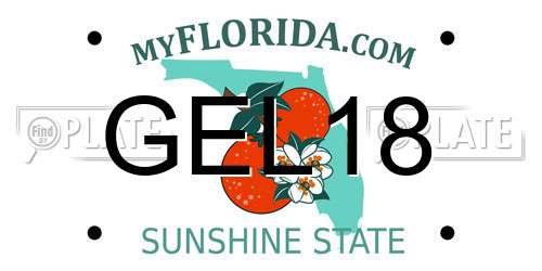GEL18 Florida License Plate