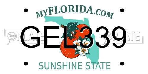 GEL339 Florida License Plate