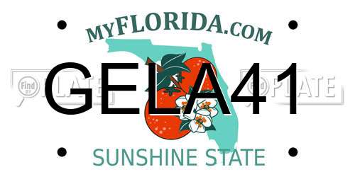 GELA41 Florida License Plate