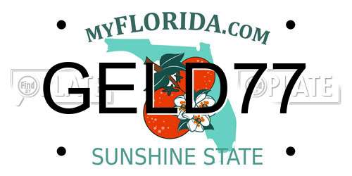 GELD77 Florida License Plate