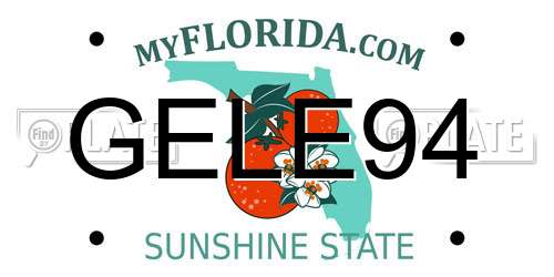 GELE94 Florida License Plate