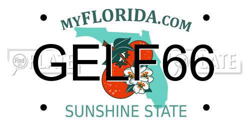 GELF66 Florida License Plate