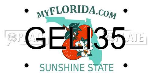 GELI35 Florida License Plate