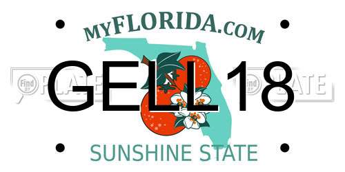 GELL18 Florida License Plate