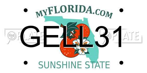GELL31 Florida License Plate