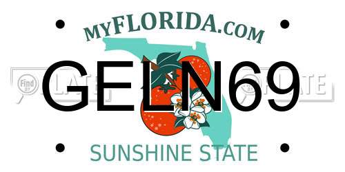 GELN69 Florida License Plate