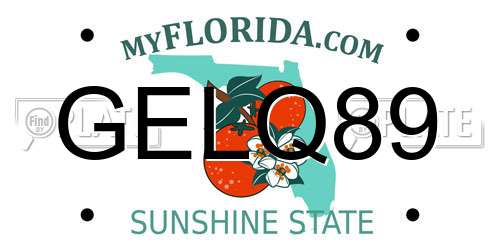 GELQ89 Florida License Plate