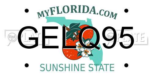 GELQ95 Florida License Plate