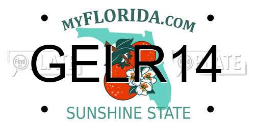 GELR14 Florida License Plate