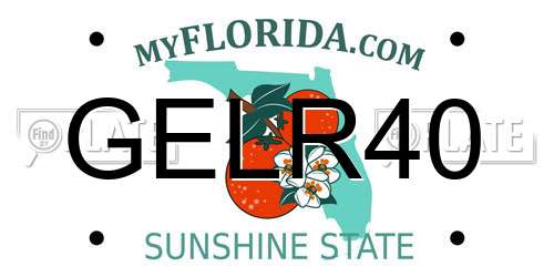 GELR40 Florida License Plate