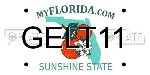 GELT11 Florida License Plate