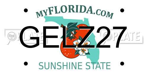 GELZ27 Florida License Plate