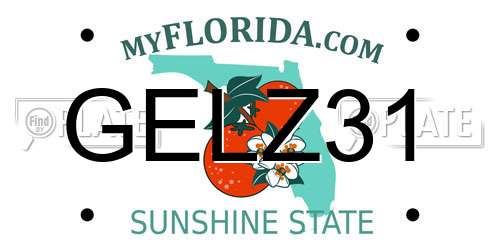 GELZ31 Florida License Plate