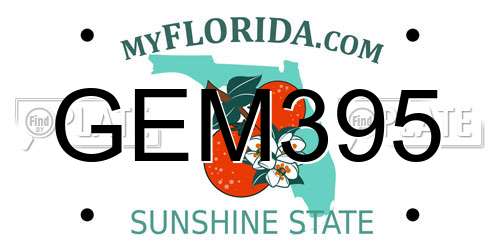 GEM395 Florida License Plate