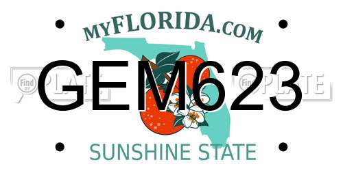 GEM623 Florida License Plate