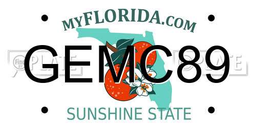 GEMC89 Florida License Plate