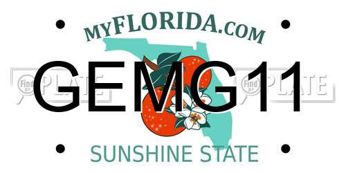 GEMG11 Florida License Plate