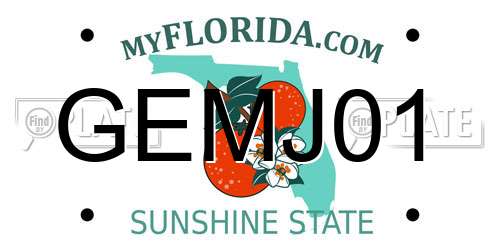GEMJ01 Florida License Plate