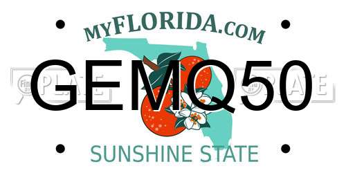 GEMQ50 Florida License Plate