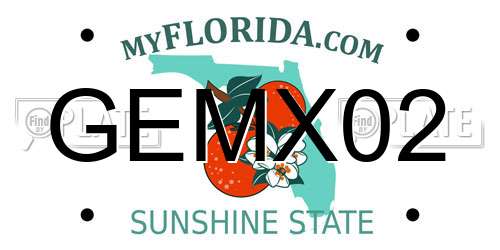GEMX02 Florida License Plate