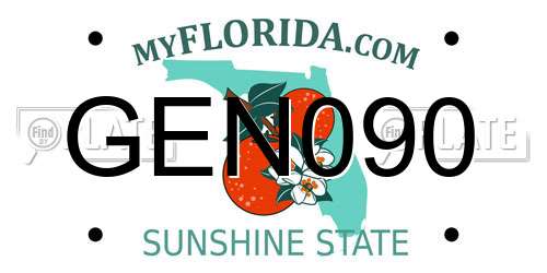 GEN090 Florida License Plate