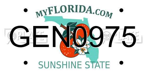 GEN0975 Florida License Plate