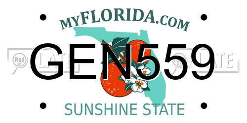 GEN559 Florida License Plate