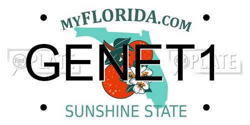 GENET1 Florida License Plate
