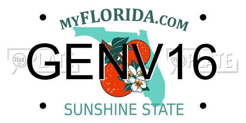 GENV16 Florida License Plate