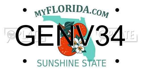 GENV34 Florida License Plate