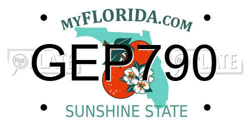 GEP790 Florida License Plate