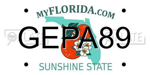 GEPA89 Florida License Plate