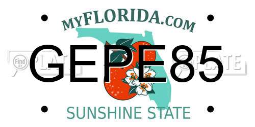 GEPE85 Florida License Plate