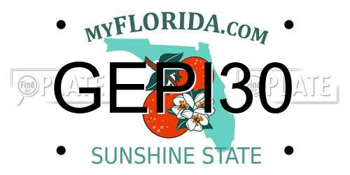 GEPI30 Florida License Plate