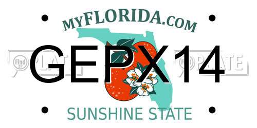 GEPX14 Florida License Plate