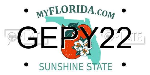 GEPY22 Florida License Plate