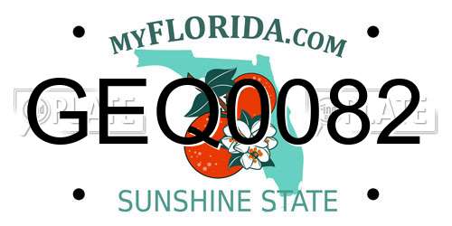GEQ0082 Florida License Plate