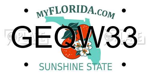 GEQW33 Florida License Plate