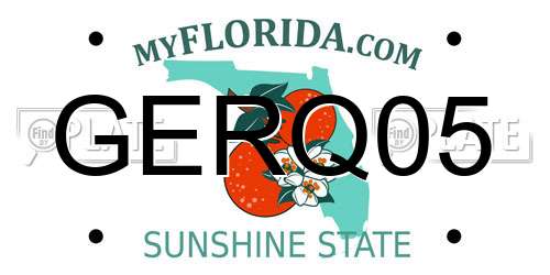 GERQ05 Florida License Plate