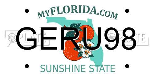 GERU98 Florida License Plate