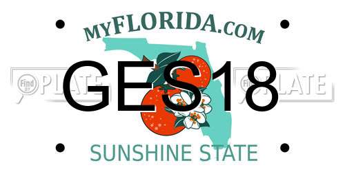 GES18 Florida License Plate
