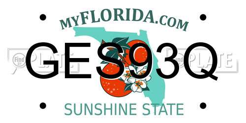 GES93Q Florida License Plate