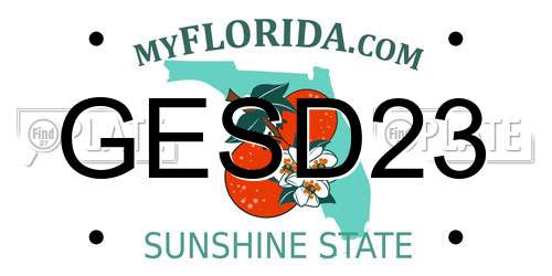 GESD23 Florida License Plate
